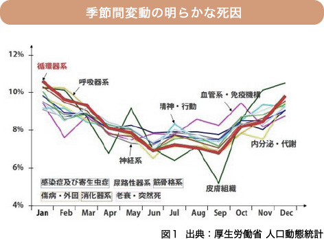 季節間変動の明らかな死因